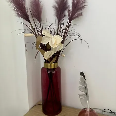 Appartement Sweet Loft Con Letto Su Mezzanina H1,40 Menton